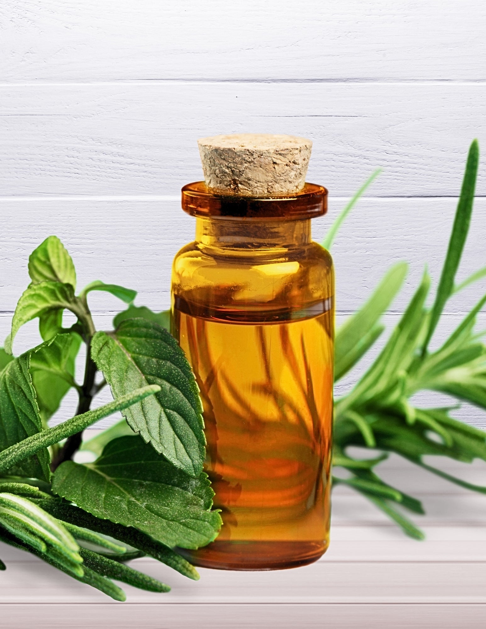 BENEFITS OF TEE TREE OIL IN YOUR BEARD